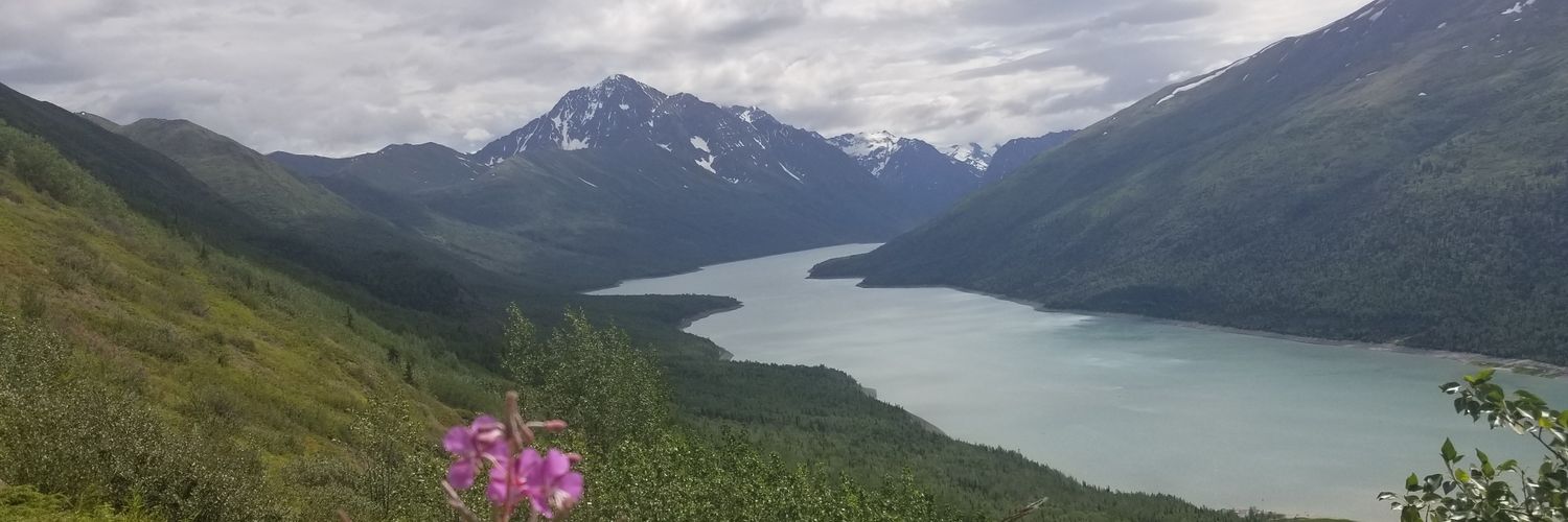 _Droozy's profile banner image