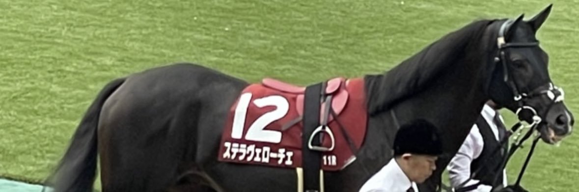 kurozu901's profile banner image