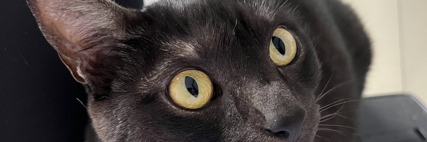 fckssamy's profile banner image