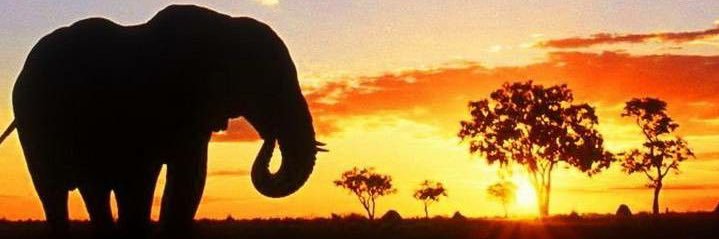 DannnyJoy's profile banner image