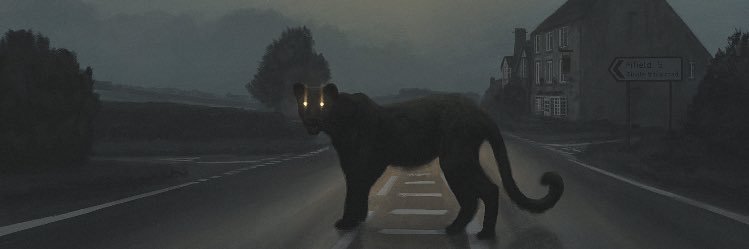 P_Laudi's profile banner image