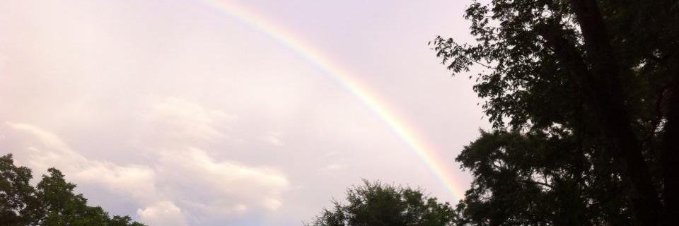 lwinfreewrites's profile banner image