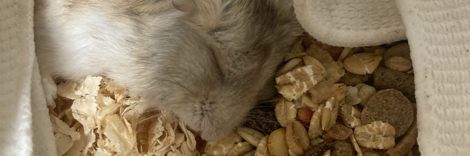 オジー・フレグランス　咲夜の民 banner