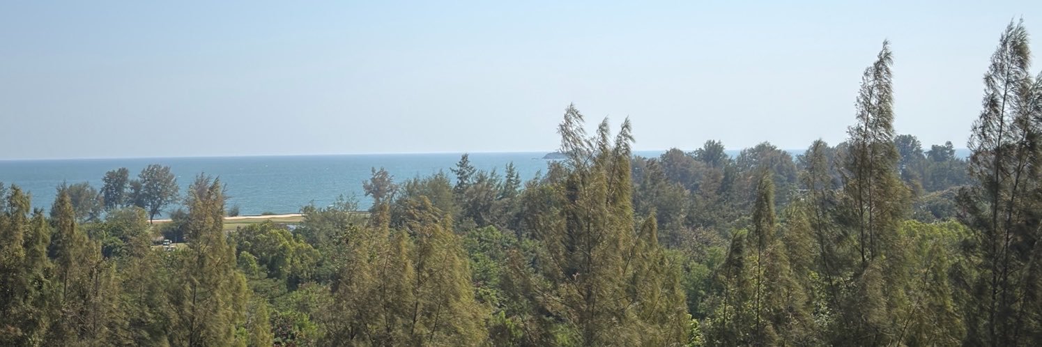 Pann_Hilton's profile banner image