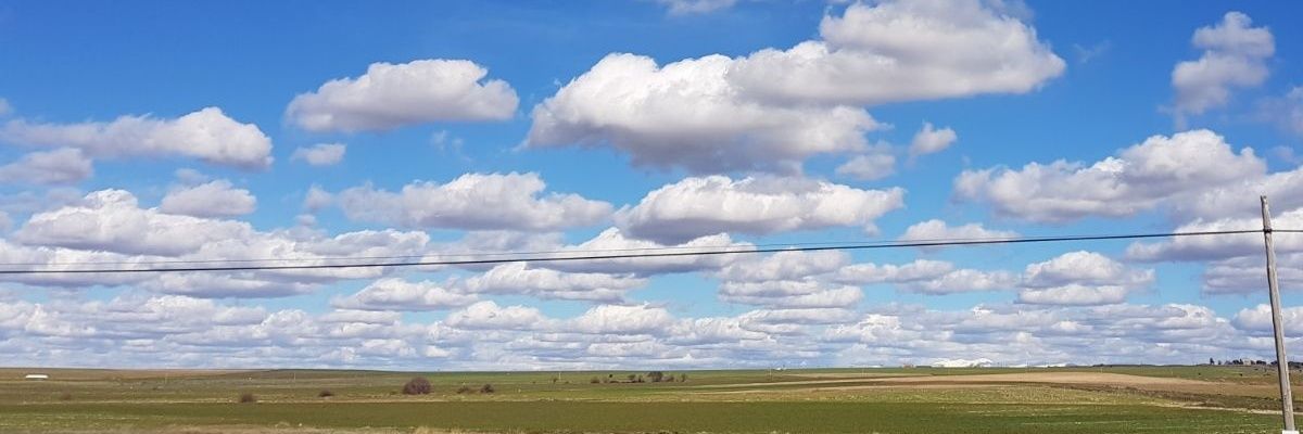 igriv25's profile banner image