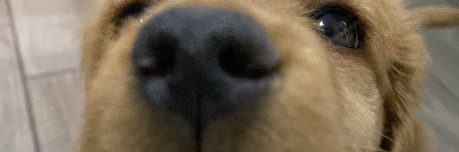 hassel00's profile banner image
