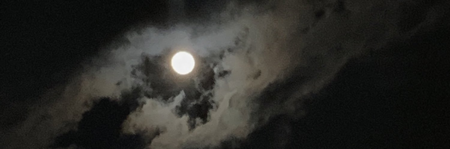 barkskinnedd's profile banner image