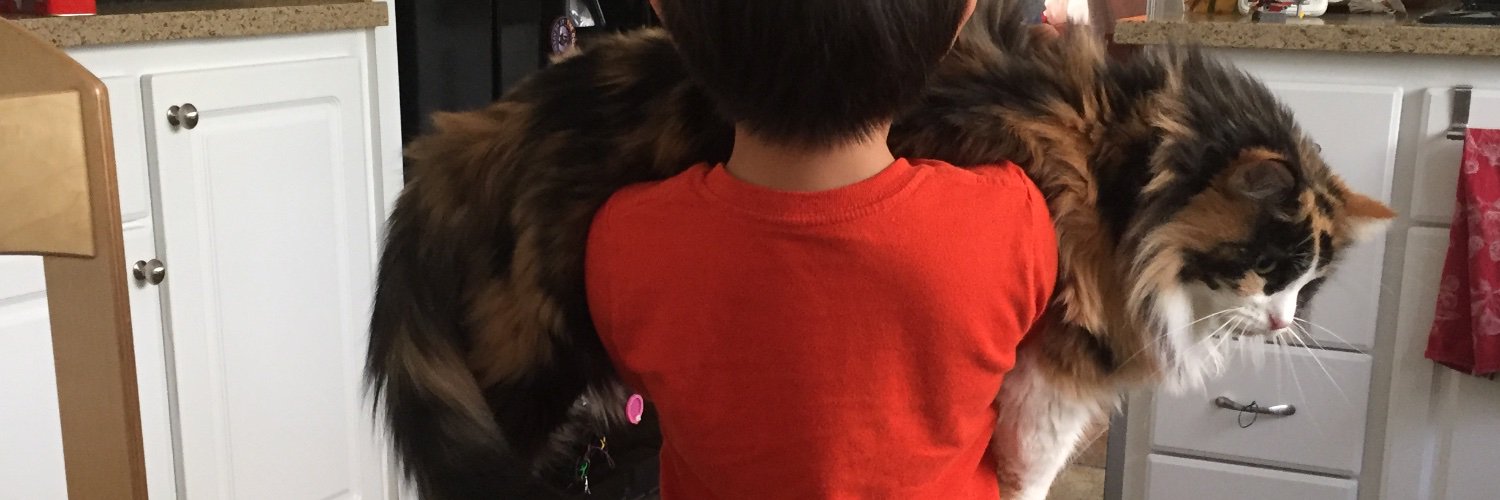EmArpawong's profile banner image