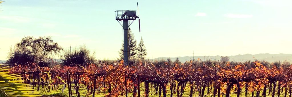 Hagafen Cellars banner