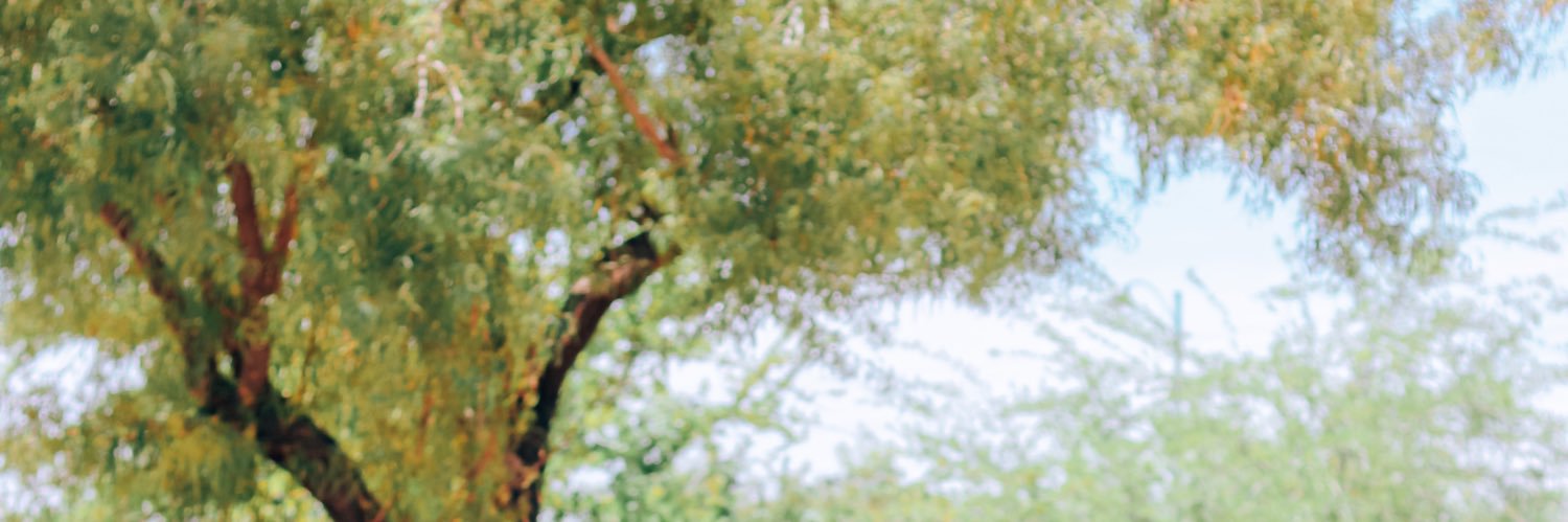 24MillerM's profile banner image