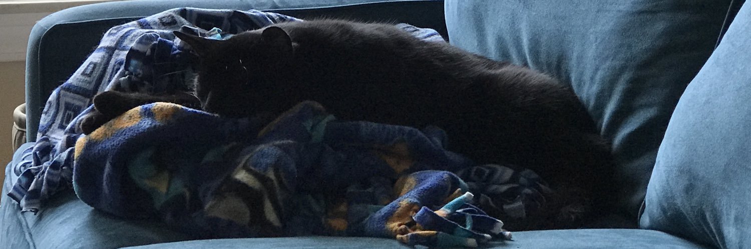 4CatBrothers's profile banner image