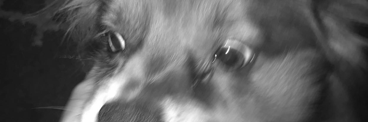 _jailine24's profile banner image