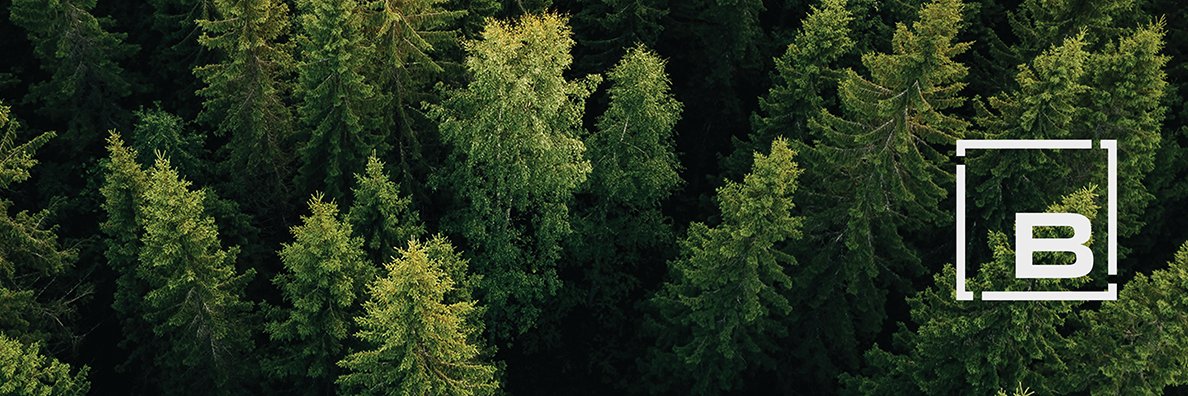 Braun Intertec banner