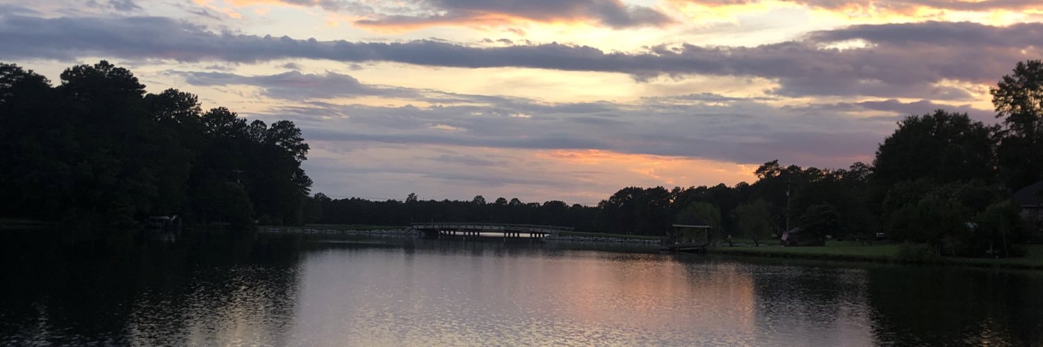 RGriffinMS's profile banner image