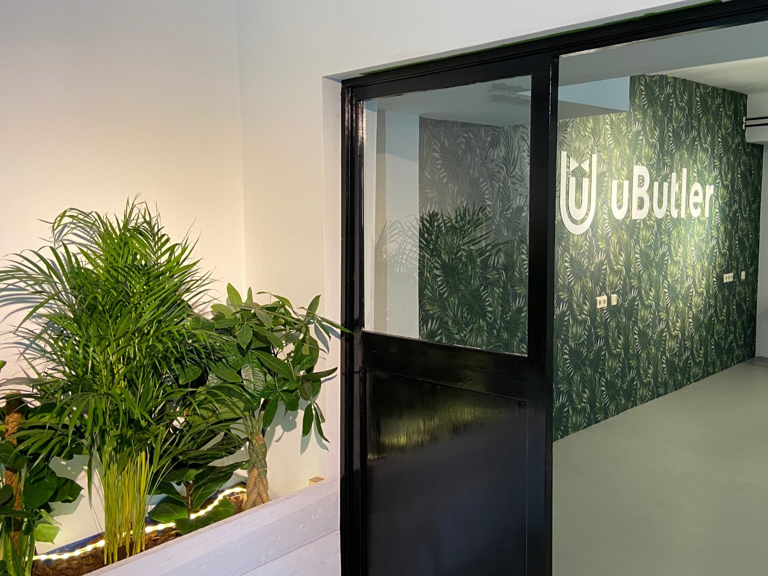 uBUTLERnl's profile banner image