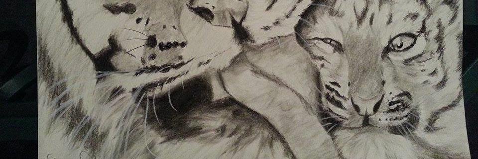 DeniseSlaner's profile banner image