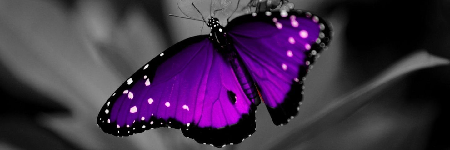 Kristy banner