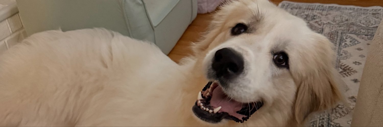 RockAllenTv's profile banner image