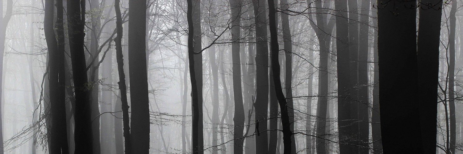 MilesMcGWrites's profile banner image