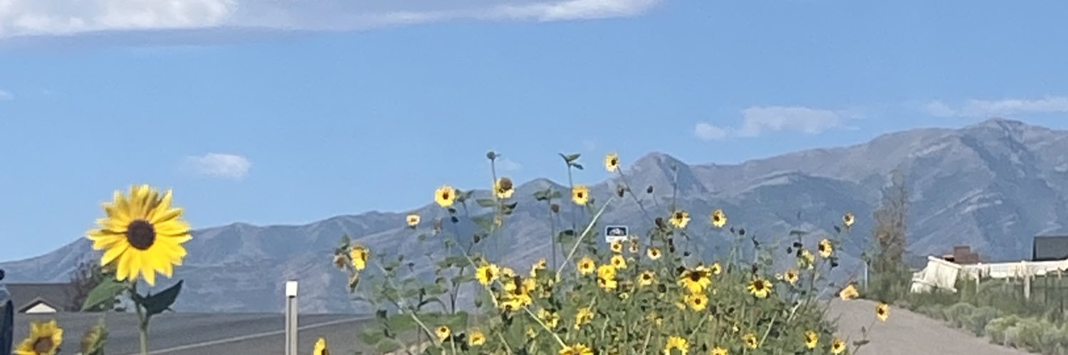 beachbee119's profile banner image