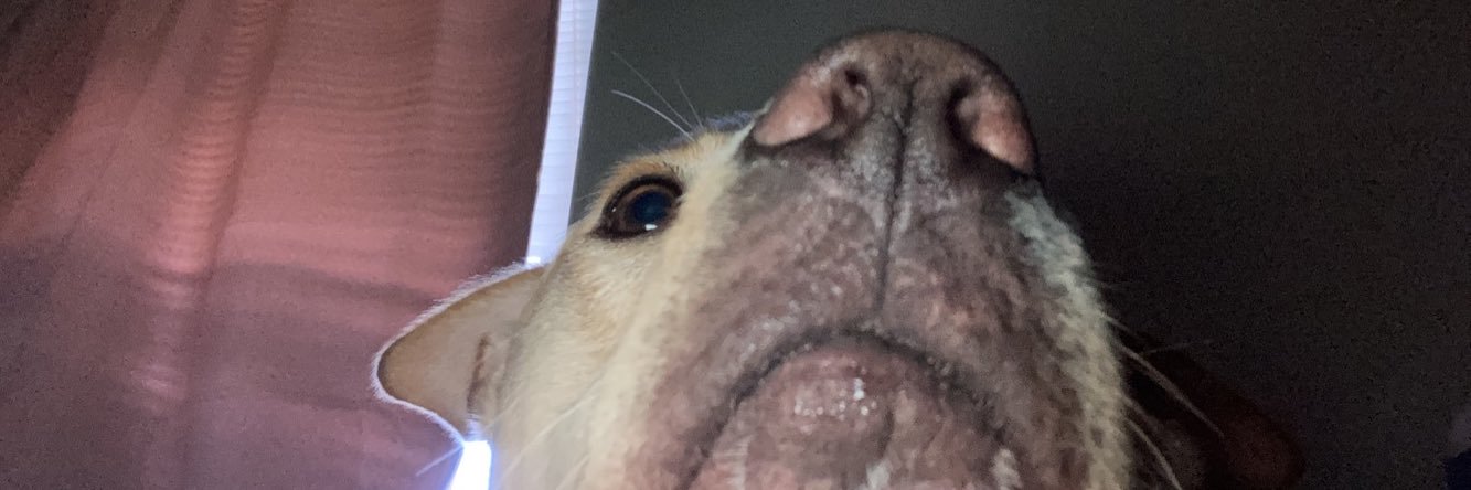 Tylerrfinn's profile banner image