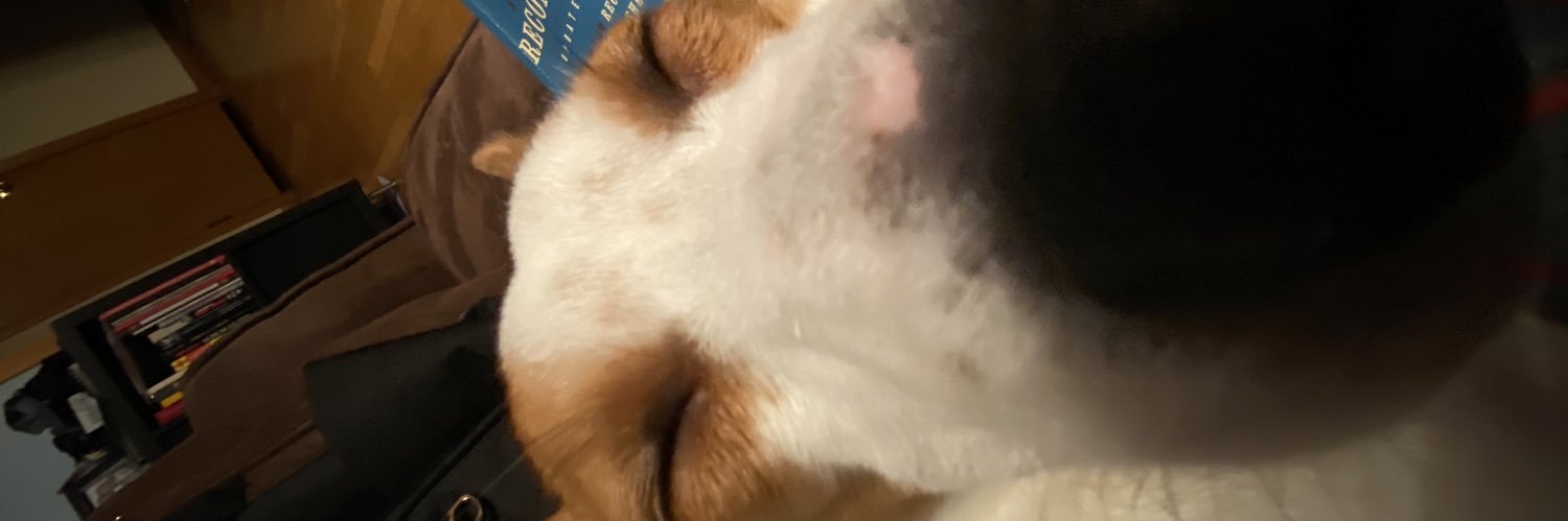 insecuritybaby's profile banner image