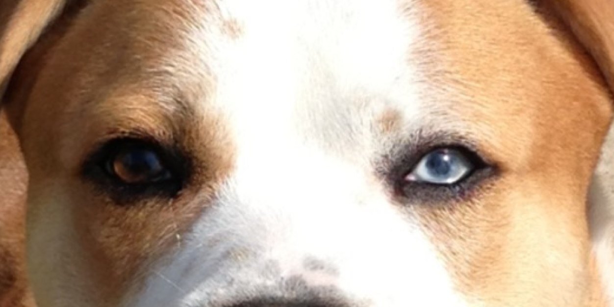Scott_Makepeae's profile banner image