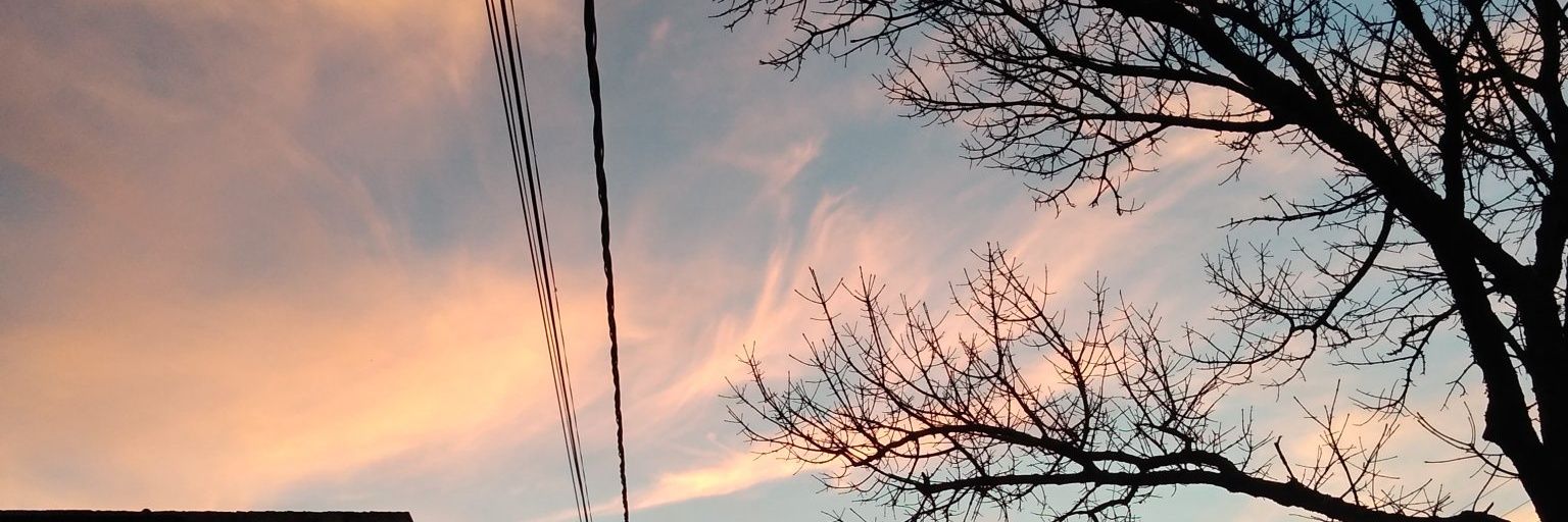 leilaacejas's profile banner image