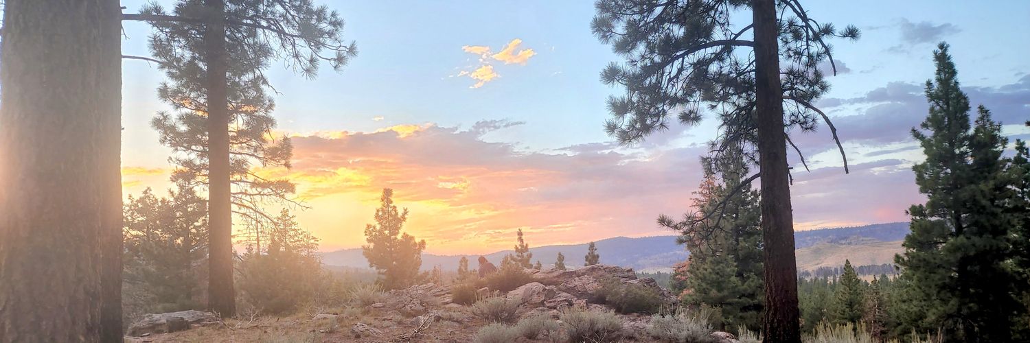 alsofrancisco's profile banner image