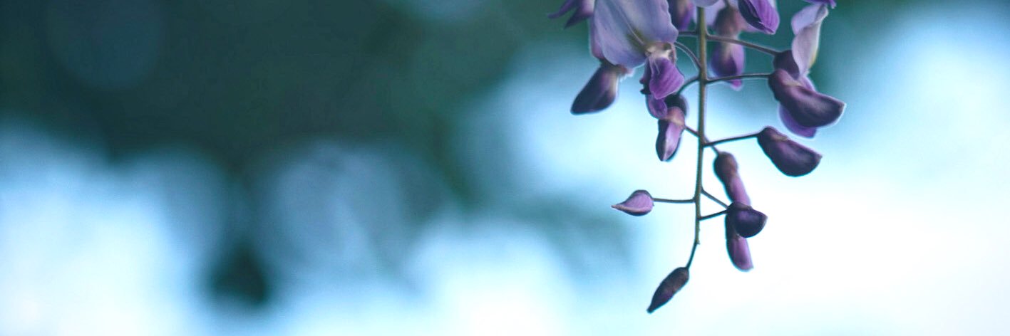 anansabu's profile banner image