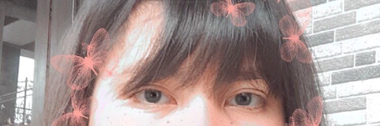 MeisyWardani1's profile banner image