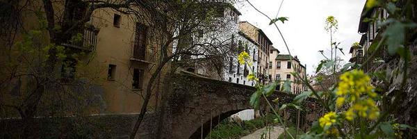 GregorioJimene6 Profile Banner