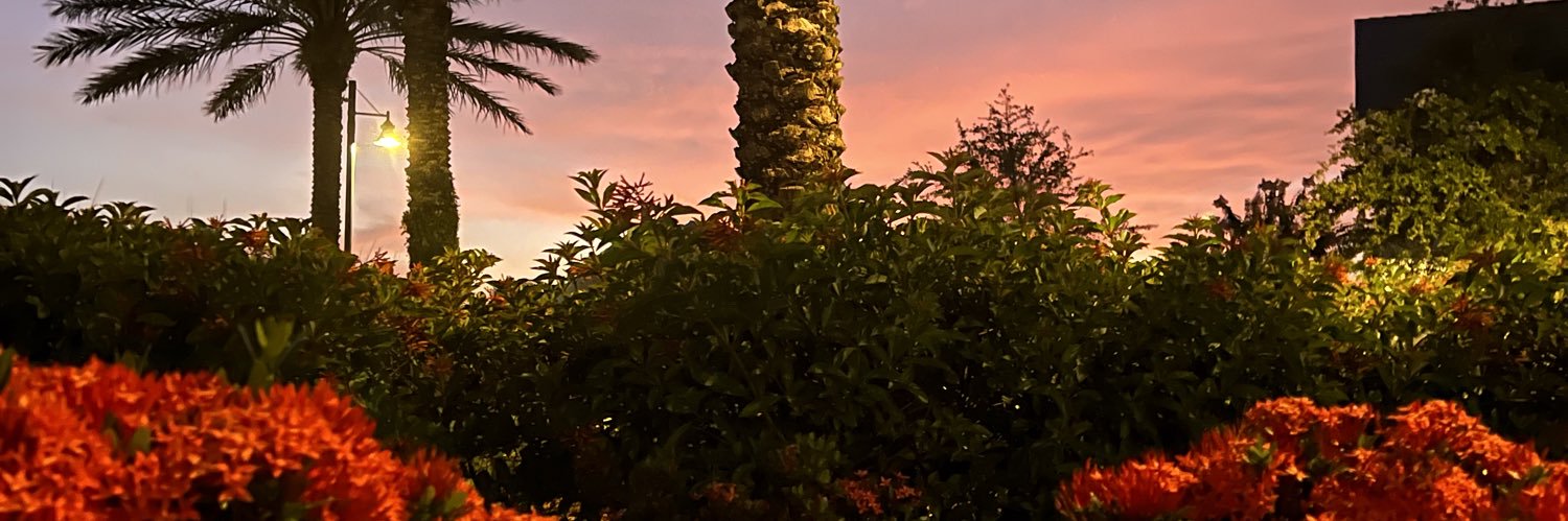 SarasotaSean ❇️🔱💎⚡️🏴‍☠️ banner