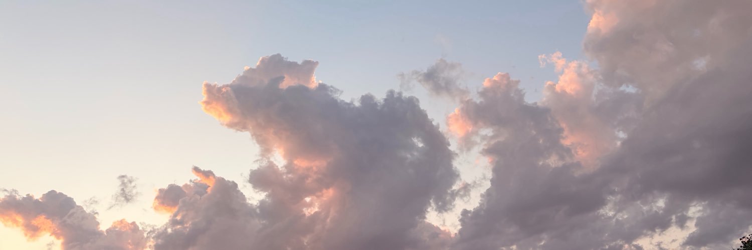 juiceandsen's profile banner image