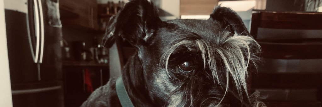 MenaBetancourt🤙🏻 banner