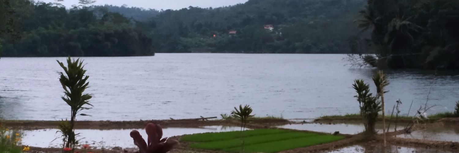 harjanto6's profile banner image