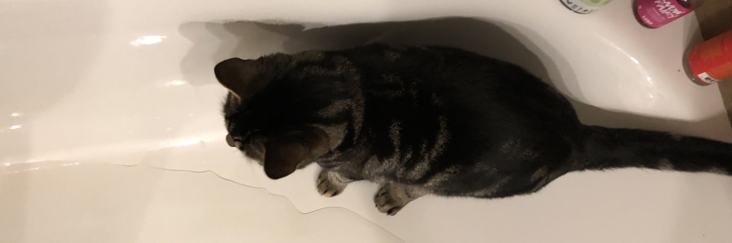 thenuclearabby's profile banner image