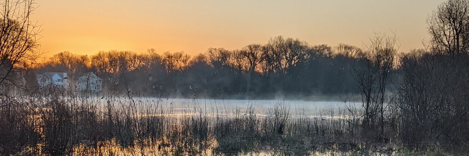 Michael Beemer banner