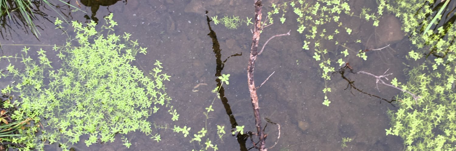 LineSimenstad's profile banner image