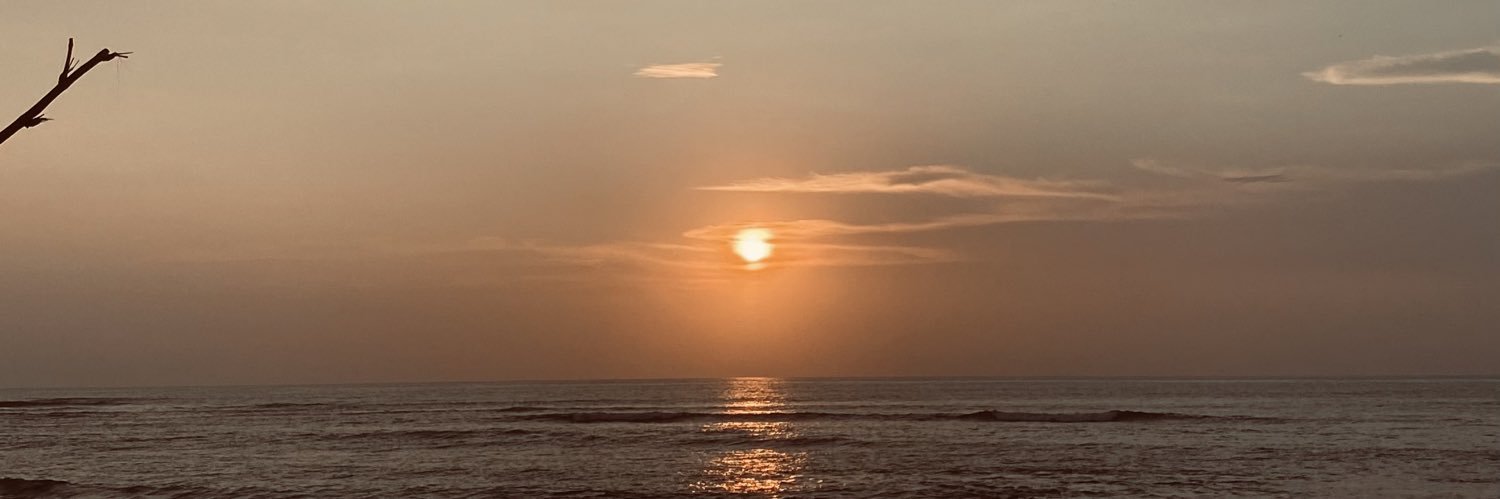 aexmbee's profile banner image