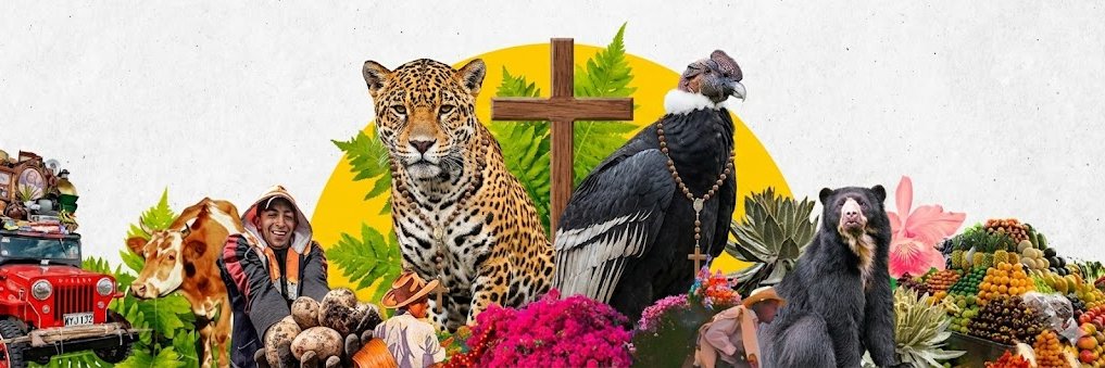 Mestizo Americano banner