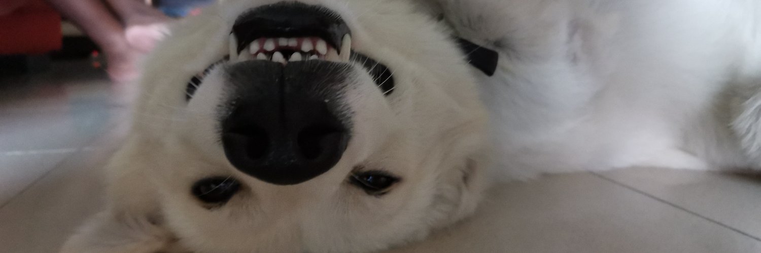 T 🇸🇩 banner