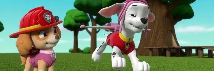 CutePupSkye's profile banner image