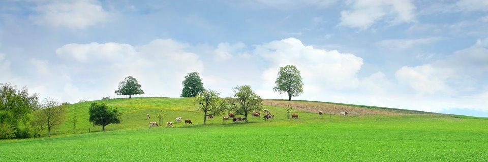 Farm-to-Consumer banner