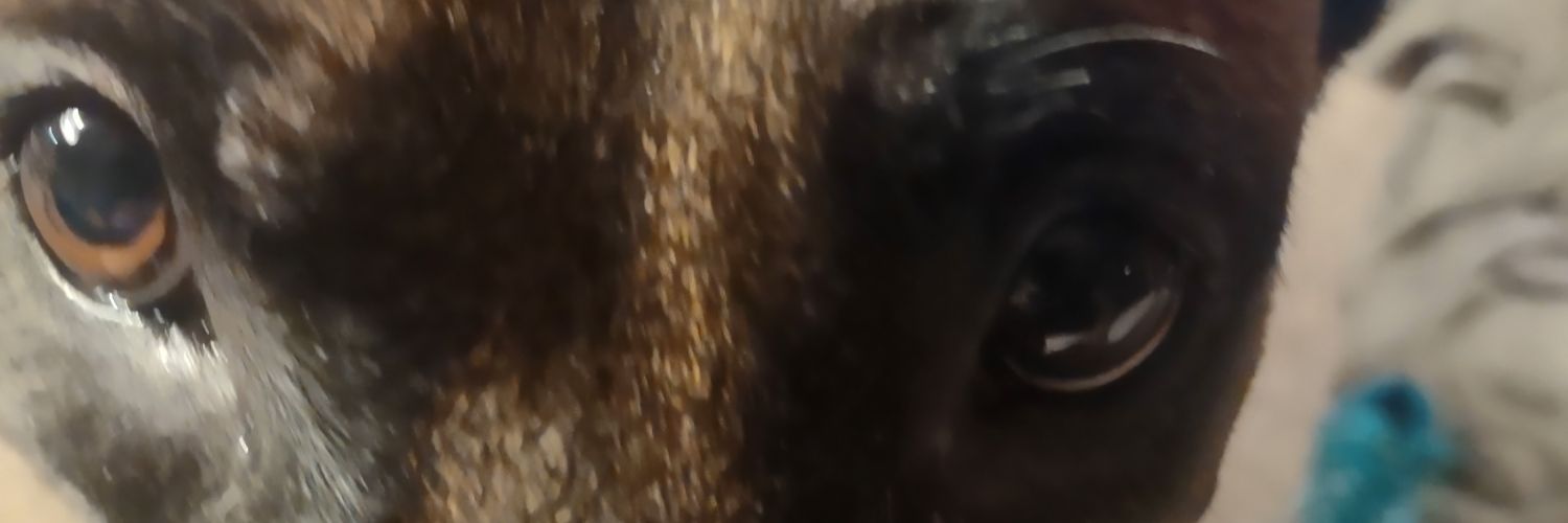 GordonFinger's profile banner image