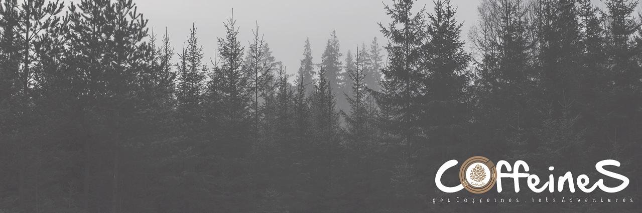 coffeines_adstr's profile banner image