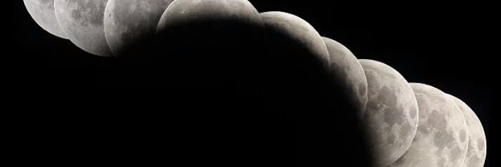 science gecko 🦎 banner