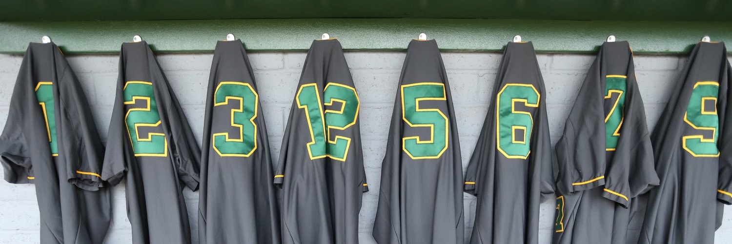 Greenway HS Baseball banner
