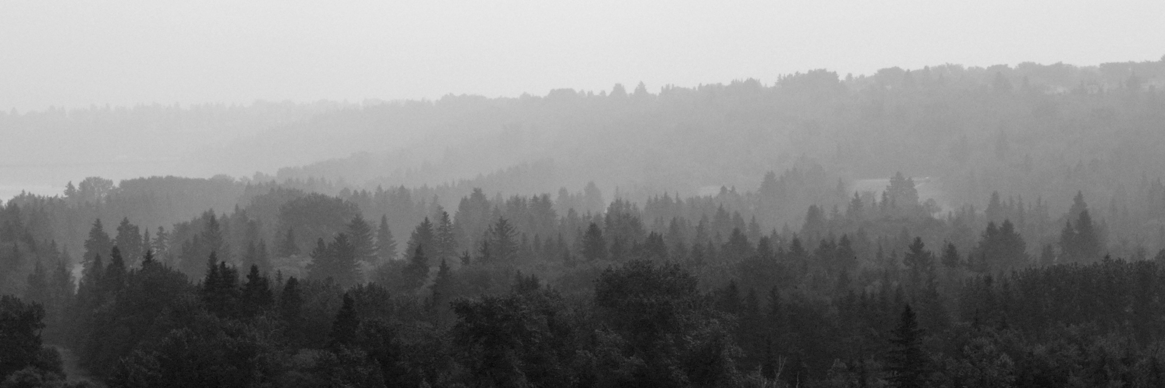 EmilyFWright's profile banner image