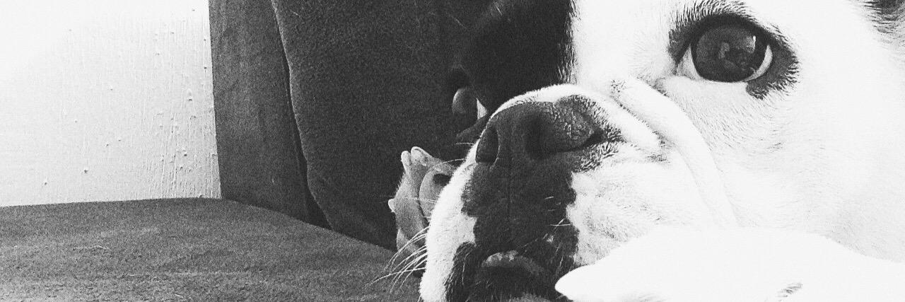 wendlingJ's profile banner image